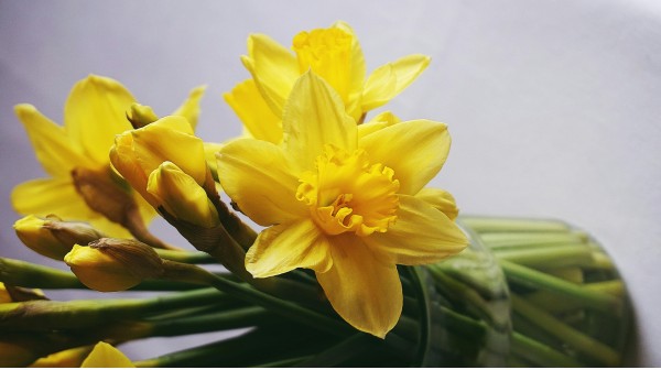 pexels-suzy-hazelwood-3834461 (1)